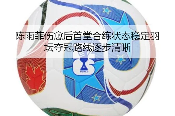 陈雨菲伤愈后首堂合练状态稳定羽坛夺冠路线逐步清晰
